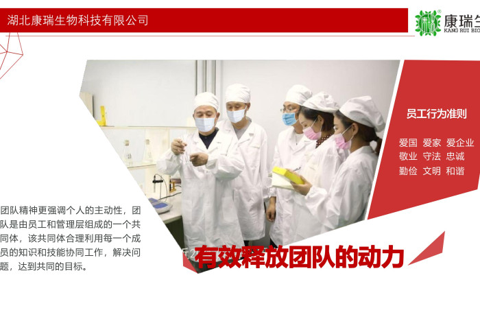 小批量功能食品代工，就选湖北康瑞生物！支持专业打样与灵活定制