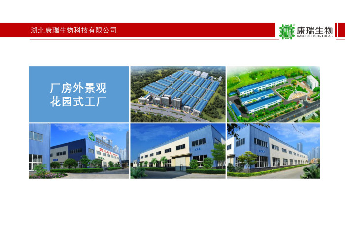 药食同源健康食品代工厂家第1张