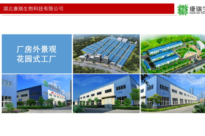 膏滋贴牌不止是“换个包装”！从配方研发到国潮设计，一站式服务让你的品牌脱颖而出第1张