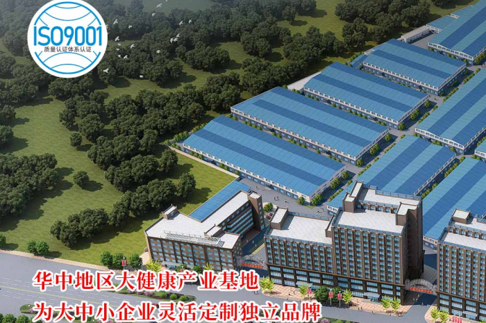 湖北膏滋代加工厂家怎么选？这份实力厂家指南请收好(图1)
